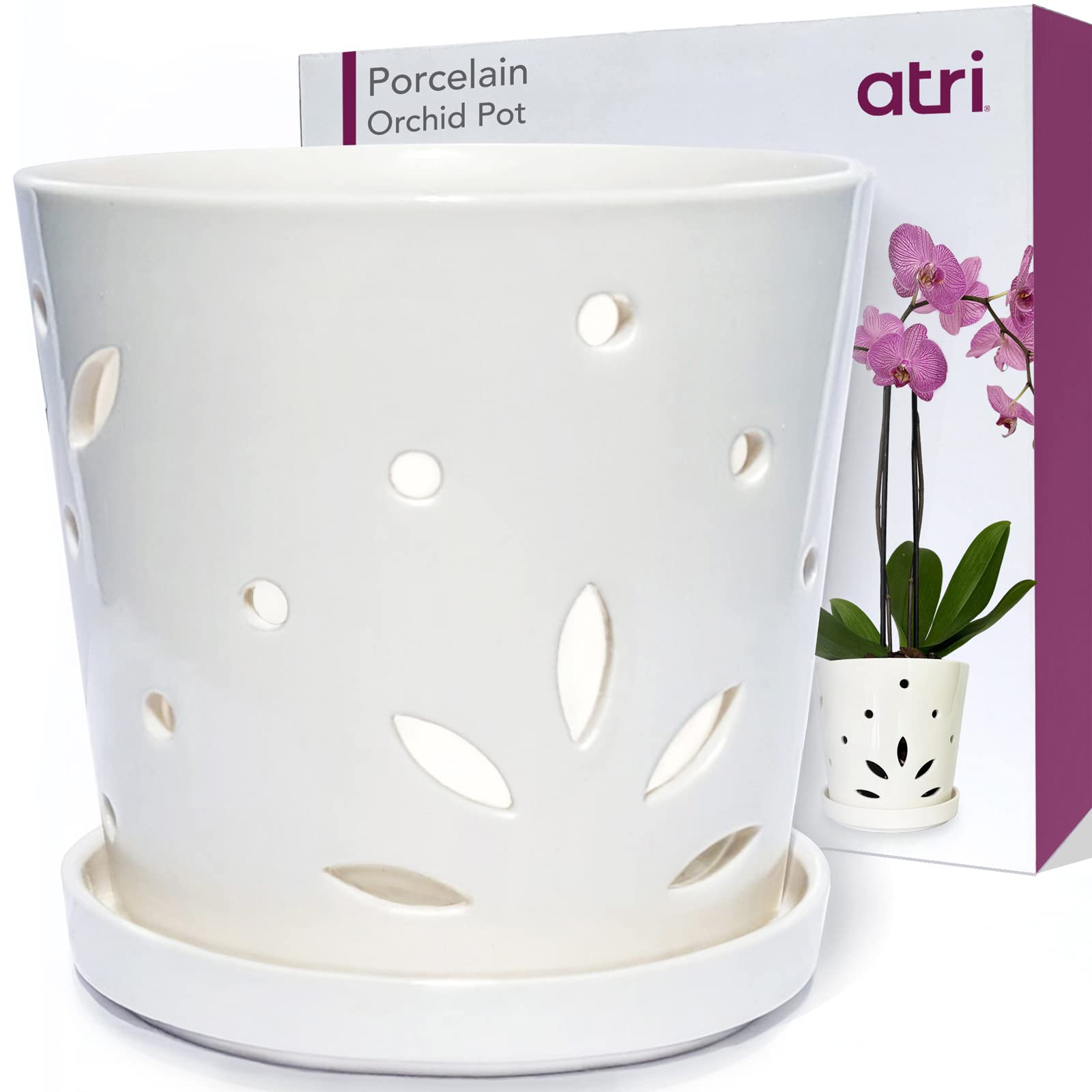 Large Orchid Pot with Holes