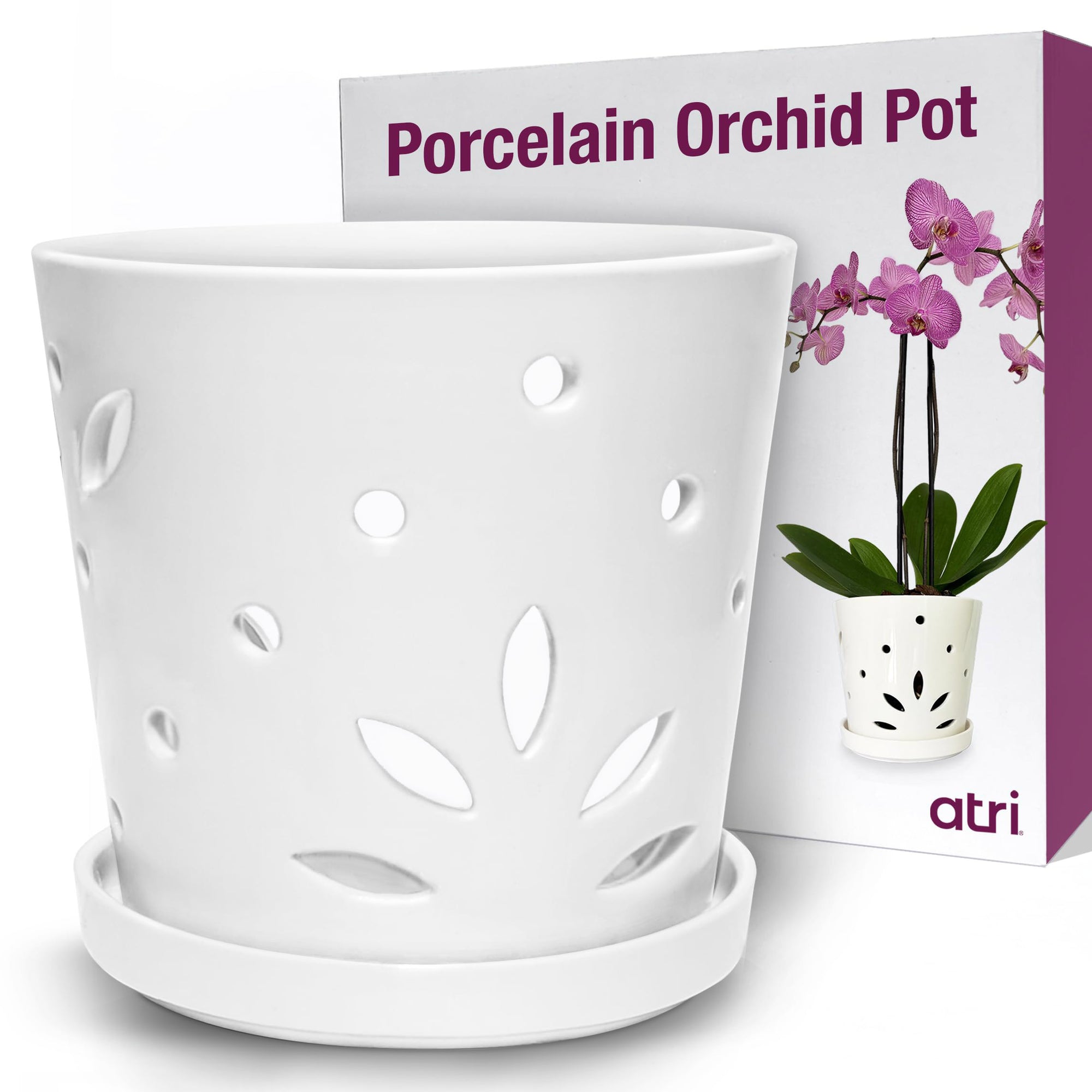 Small Orchid Pot with Holes