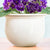 African Violet Self-watering Ceramic Pot